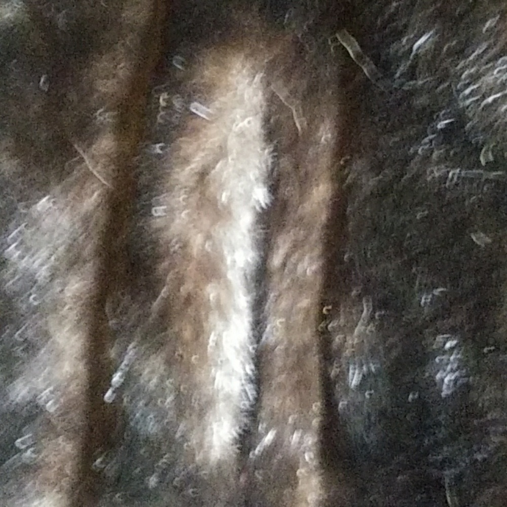 Jacket - Picture 6 of 7